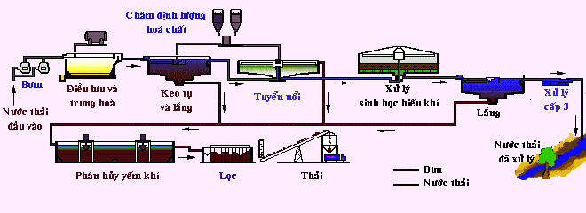 quy trình xử lý nước thải sinh hoạt