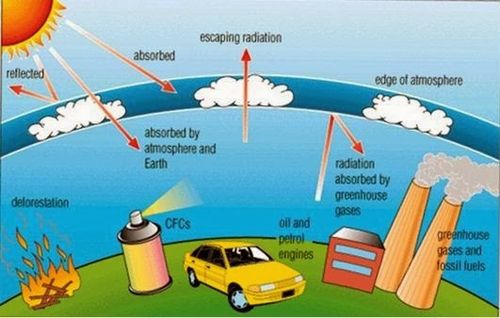 Suy giảm tầng ozon