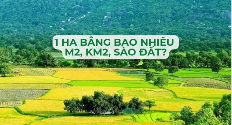 1ha bằng bao nhiêu m2